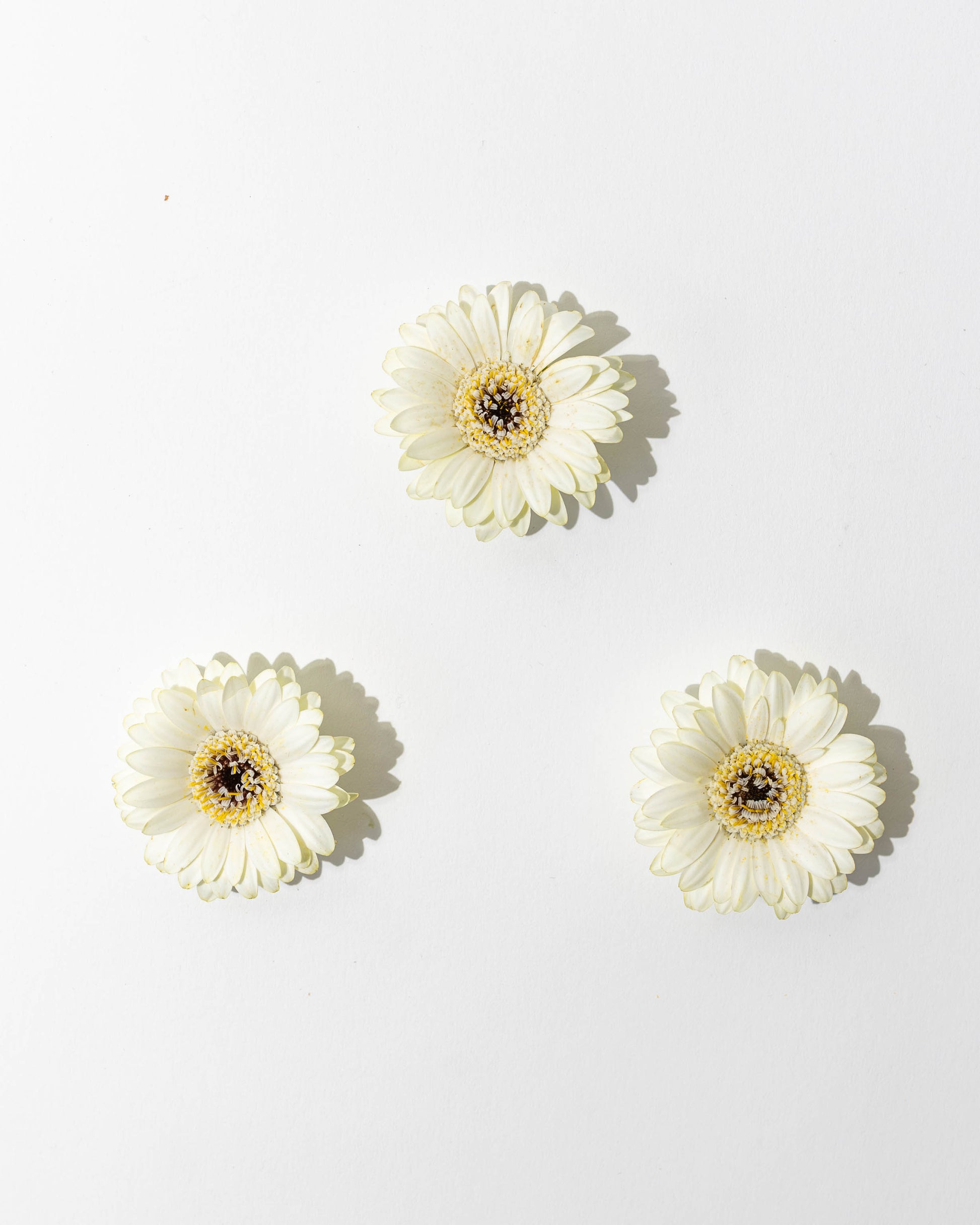 Angel Eyes Botanical Perfume
